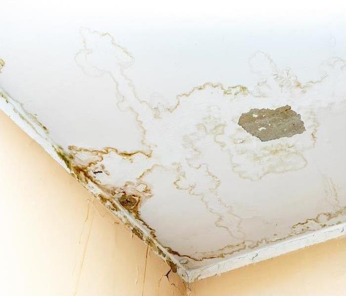 a white ceiling showing water damage with brown staining